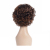 Rose interwoven network of short curly wigs and wigs of black wig for sale of black wigs in Europe and America.