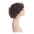 Rose interwoven network of short curly wigs and wigs of black wig for sale of black wigs in Europe and America.