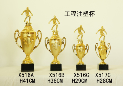 Lao Zheng Plastic Trophy