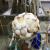 Shell hanging ball Mediterranean hanging shell crafts Christmas ball