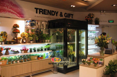 Fresh flower cabinet / air curtain cabinet / refrigerator / display cabinet