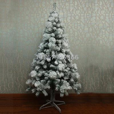 Christmas tree, snow tree, pine tree, Christmas tree, Christmas tree