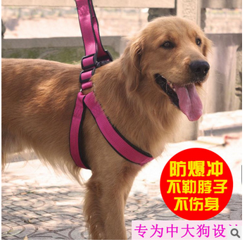 Pet Harness Hand Holding Rope Double-Layer Nylon Anti-Explosion Large Dog Dog Leash Pet Supplies Wholesale
