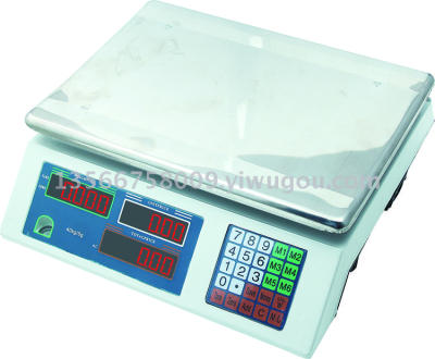 DY-748 electronic scale