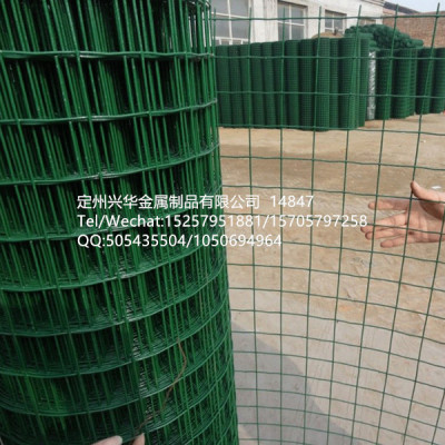 Dutch wire mesh wire fence breeding, Welded wire mesh, wire mesh