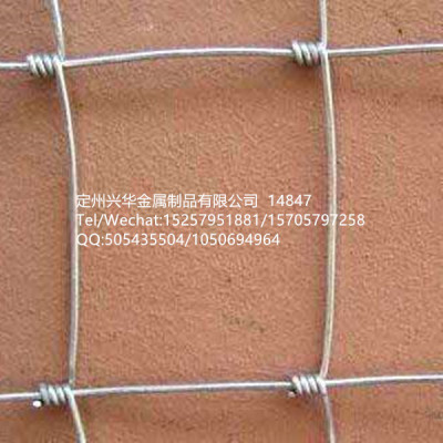 Cattle net grassland net, knotted wire mesh fence, wire mesh