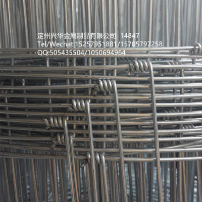 Grassland net breeding net barbed wire cattle wire, wire mesh,