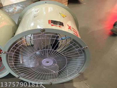 Explosion proof axial flow fan