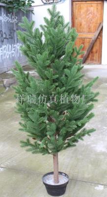 Simulation of plants in Qinling Mountains spruce Metasequoia tower Qinling Mountains fir fir larch in Xingan wholesale