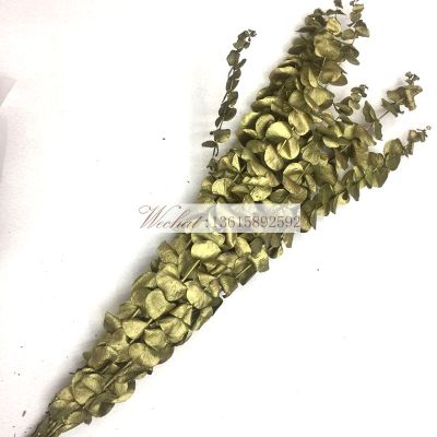 Imported flowers preserved flowers of various life eternal Eucalyptus flower accessories special flower shop