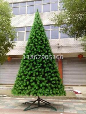 4 m 5 m 6 M 7 m Christmas tree
