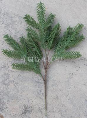 Simulation plant pentachine minjiang fir spruce leaf spruce tree of China red and white spruce wholesale