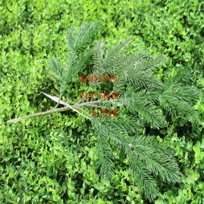 The simulation of Asian plants in Qinling Mountains spruce fir fir fir fir and larch Metasequoia in Qinling Mountains