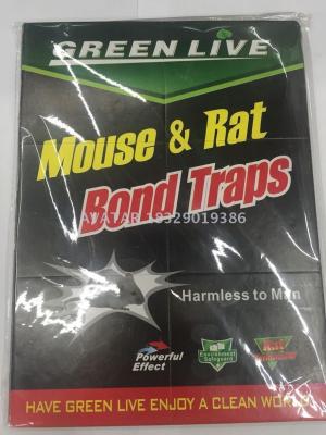 Green YUE GREEN LIVE Mouse Glue  Mouse Rat Glue Trap