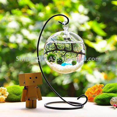 Transparent glass bottle microlandschaft plant pot