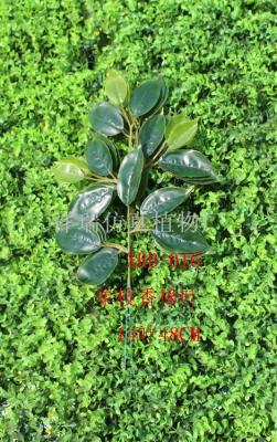 Green planted leaves Leaves single branch camphor leaf fig leaf green simulation camphor leaf engineering timber