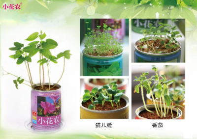 Flower garden can Flower pot Flower office desktop creative potted DIY mini plants.