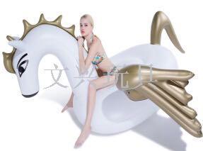 The new large-day Pegasus inflatable horse Pegasus floating flock