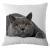 Personality cute cat pillow home sofa pillow car cushion