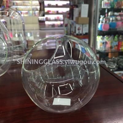 Transparent glass bottle microlandschaft plant pot