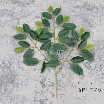 Simulation of camphor camphor tree leaves leaves green planting bonsai potted decorative manufacturers wholesale