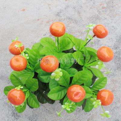 Simulation green plant 3 fork wood orchid flower apple orange fruit plant mini small potted office decoration wholesale