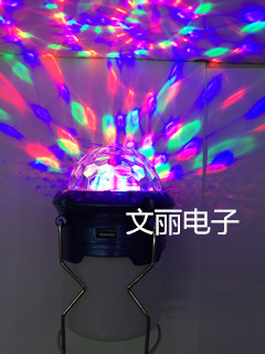 Colorful mini-horse lights