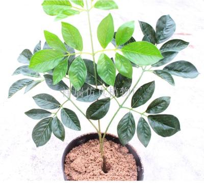 Simulation small potted bonsai rich leaves three branches foliage leaves leaves leaves of leaves