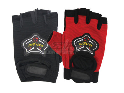 HJ-C1001 sports gloves