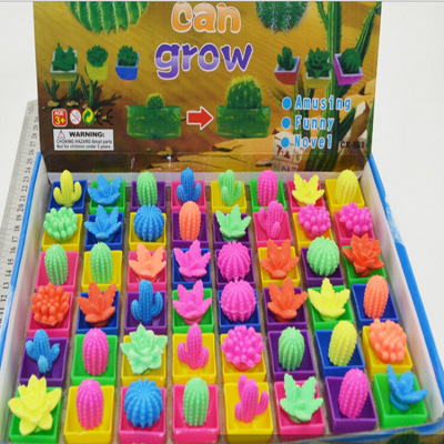 Educational Toys Expansion Bubble Big Cactus Palm Will Grow up Christmas Tree Expansion Plant Toys Wholesale