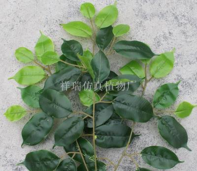 Simulation plant banyan leaves 3 crossed plastic new green ficus leaves white edge banyan leaves shooting background 