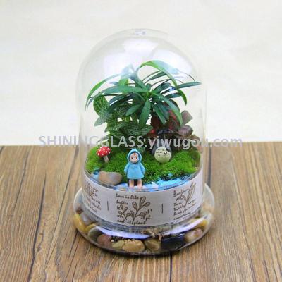 High borosilicate micro - landscape glass split glass shade shade heat - resistant plant ecological glass bottles