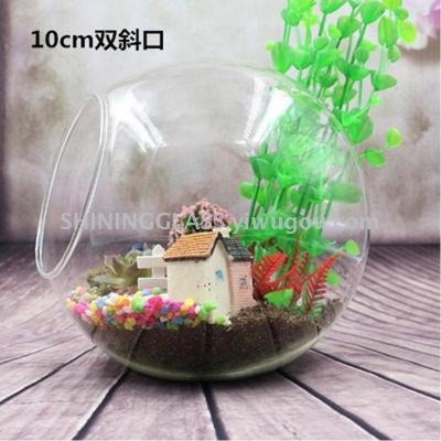 High borosilicate micro - landscape egg design - glass port shade- resistant plant potted glass bottles