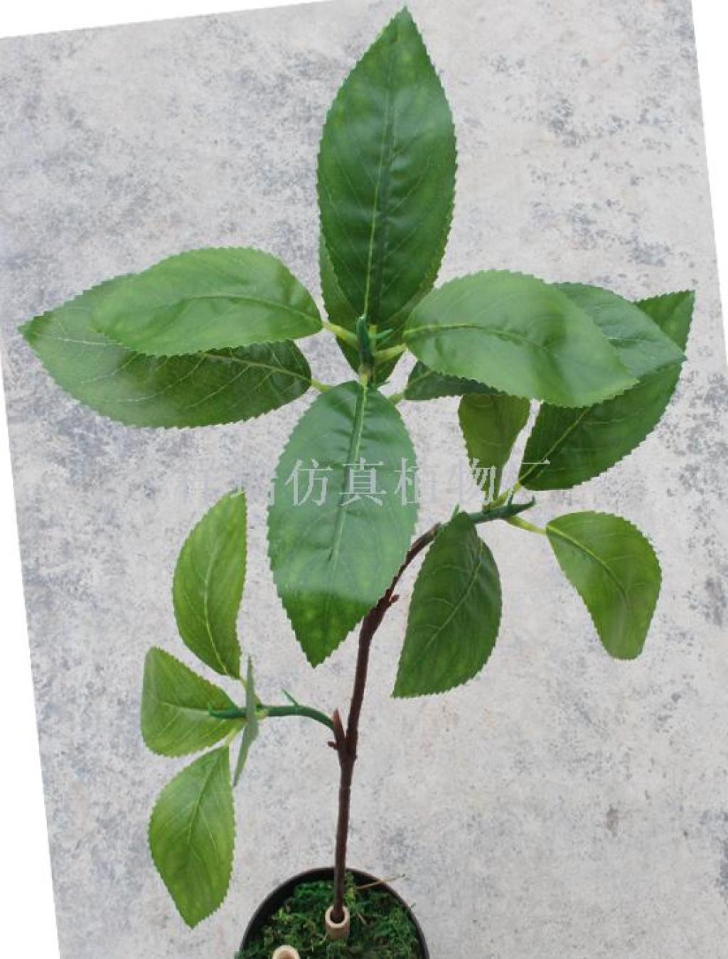 Simulation plant wood lotus leaf back to the tree Ke tree DIY photography indoor and outdoor floor decoration decorated 