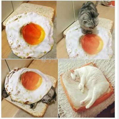 Taiwan bursts of simulation poached egg simple plush toys pillow quilt creative egg printing