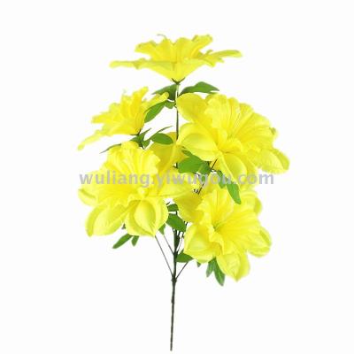 7 big daffodils
