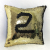 Fashion digital home pillow office sofa cushions manufacturers direct selling
