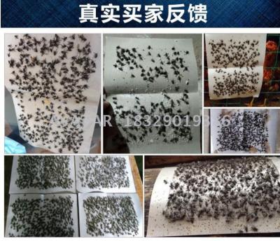  Factory Price High effective CQGC flies killer Strong sticky fly glue trap