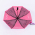  self-opening & closing sunshine umbrella gift umbrella lace printing high-end automatic umbrella for  folding umbrella