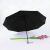 Vinyl Sun Umbrella Candy Color Fresh Sun Umbrella Small Floral Folding Umbrella Women's UV Protection Dual-Use Umbrella Tide