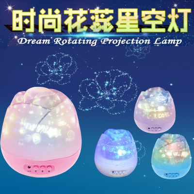 New Romantic Bud Star Light Led Starry Sky Rotating Projection Lamp XINGX Night Sky Projector Small Night Lamp