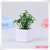 Simulation flower popular manufacturers direct bonsai Simulation flower pot Simulation flower plants
