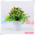 Popular spring miniascape mini simulation plant direct simulation flower miniascape
