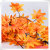 Autumn leaf simulation of popular leaves simulation of flowers leaves branches of flowers