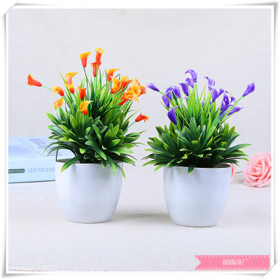 Mini tulip miniascape manufacturers direct popular plant pot