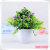 Popular spring miniascape mini simulation plant direct simulation flower miniascape
