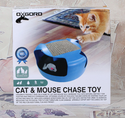 Cute cat catches the mouse around the toy TV TV shopping products