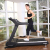 Zhengxing zx-a520t luxury commercial treadmill gym indoor fitness equipment