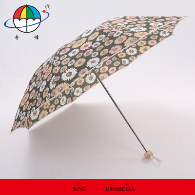 The Umbrella house 8p-3686 illustrcolor chrysanthemum Umbrella