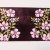 Doormat: lovely floral print pad. Doormat. Door pad